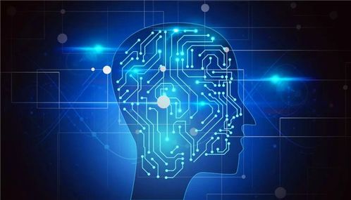 計算機軟件開發(fā) 政策東風(fēng)下的熱門之選與未來展望